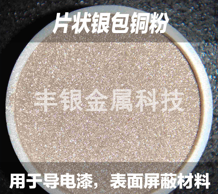 廠家直銷電磁屏蔽導(dǎo)電粉體銀包銅粉末FY-gs250用于導(dǎo)電油漆屏蔽膜